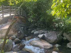 -大鄣山卧龙谷景区