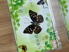 -上海昆虫博物馆