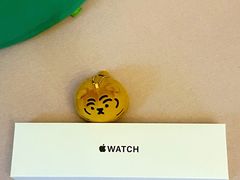 -Apple零售店(济南恒隆广场店)