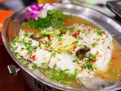 -荷花泰菜(东方新天地店)