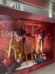 -深圳米兰柏羽医疗美容医院