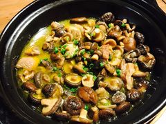 土猪肉炖香菇-老宁波1381餐厅(宏泰广场店)