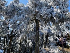 -南岳衡山风景名胜区