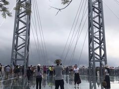 -呀诺达热带雨林