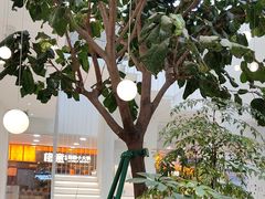 -大树餐厅(红旗街万达店)