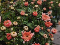 -咸阳湖景区-统一广场