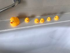 -昆山琶拉帝诗酒店·河畔咖啡厅Riverside Cafe