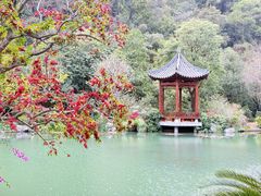 -云溪植物园