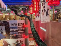-瑞虹新天地月亮湾