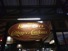 -卷心菜和避孕套餐厅(Pattaya)