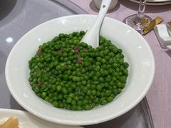 小蜜豆-金时代顺风大酒店(静安大融城店)