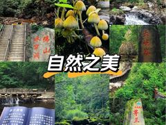 -茅兰沟国家森林公园