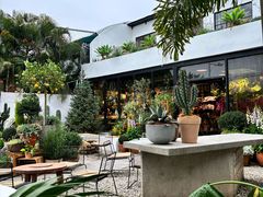 -自由生长植物工作室(深港花卉中心店)
