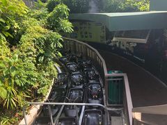 -圣淘沙天际线斜坡滑车