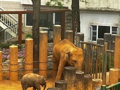 -昆明动物园