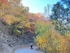 -北京鹫峰国家森林公园