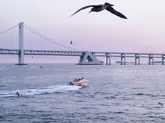 -星海广场