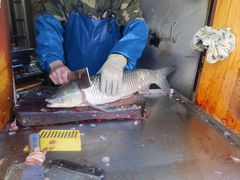 -梅记大块头爆鱼店(乍浦路店)