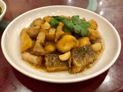 烧腩焖魽鱼-胜记菜馆(文明路)