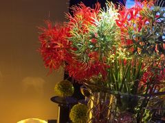 -墨锦轩·5D影院足浴·SPA(高新店)