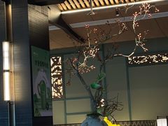 -解家河南菜(商鼎路店)