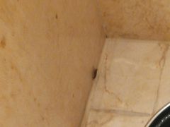 -白金汉爵大酒店(相城店)