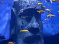 -南昌融创海世界