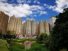 -花果园湿地公园