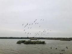 -南大港湿地风景区