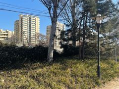 -北极寺公园