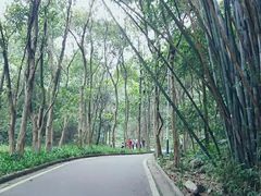 -火炉山森林公园