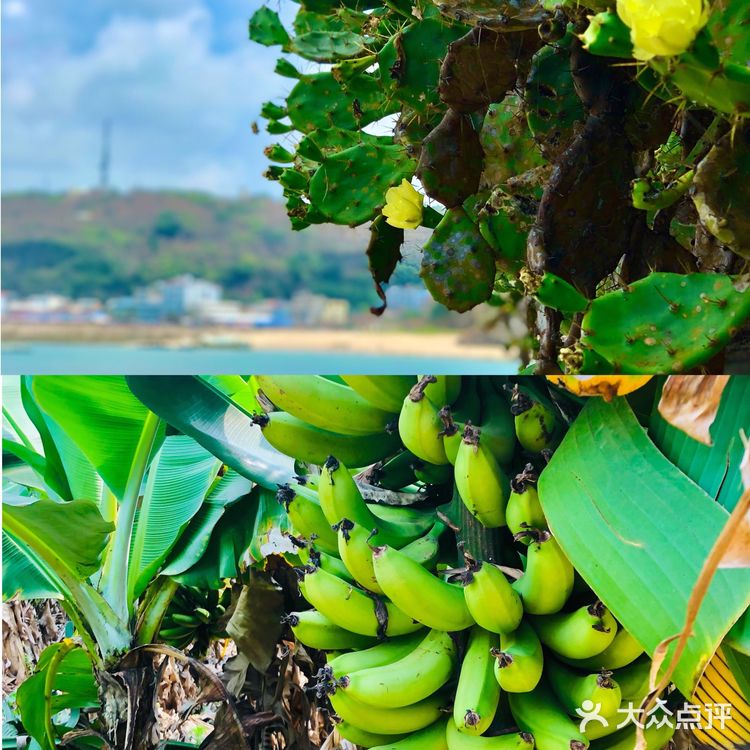 北海➕涠洲岛🌊最全旅游攻略‼️还可以看到鲸鱼🐳