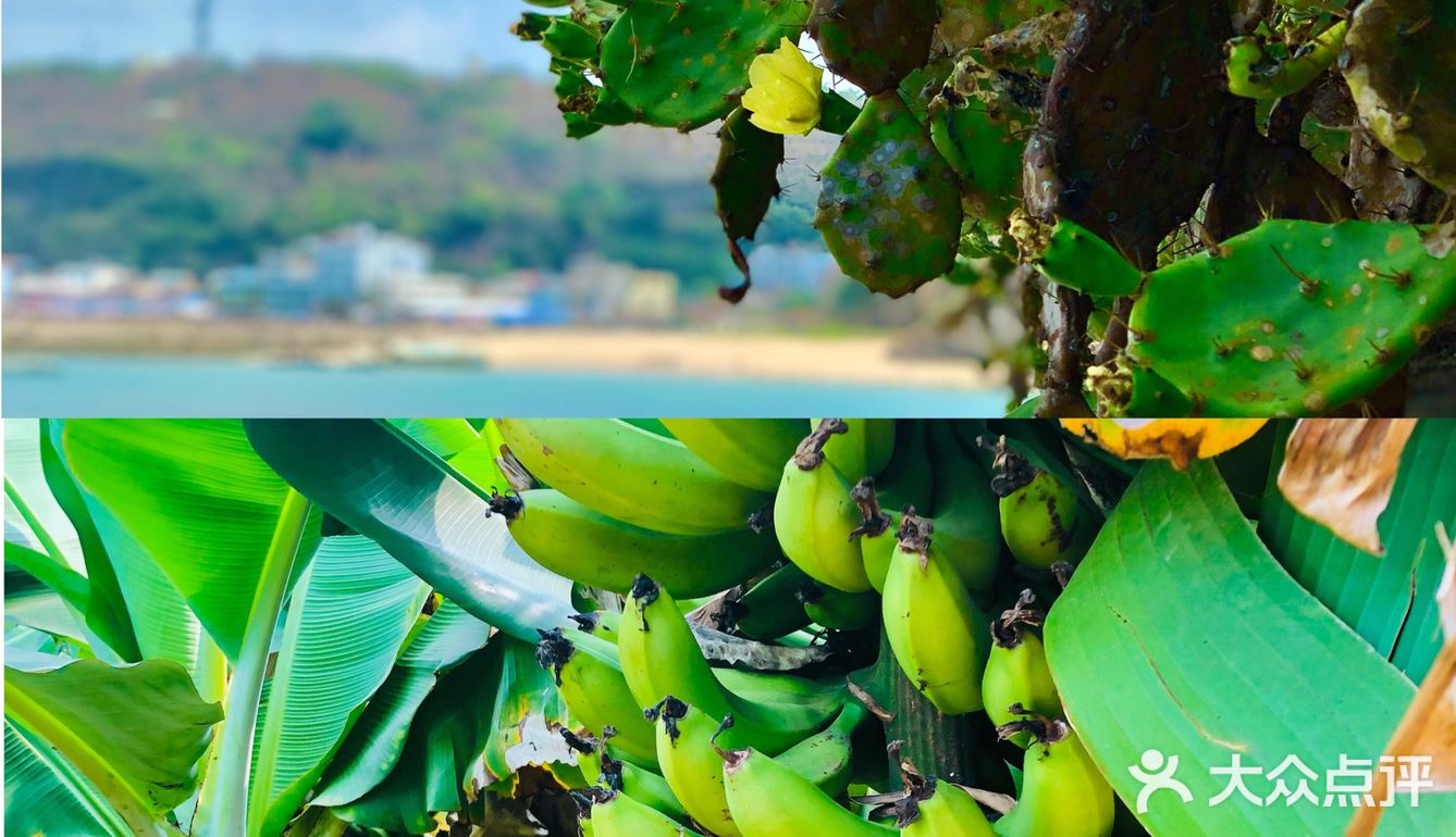北海➕涠洲岛🌊最全旅游攻略‼️还可以看到鲸鱼🐳
