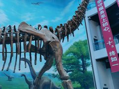 -辽宁古生物博物馆