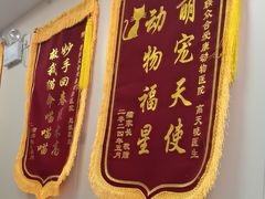 -美联众合爱康动物医院•复杂内科•肿瘤科•牙科•腔镜诊疗中心
