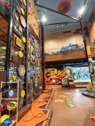 -卡通尼·Safari非洲探索乐园·生日会(金桥国际商业广场店)