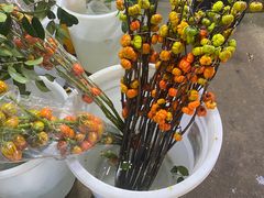 -循礼门鲜花花市(武汉循礼门店)