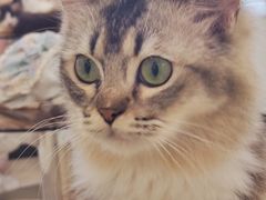 -共舞时光猫咖·狗咖(新街口店)