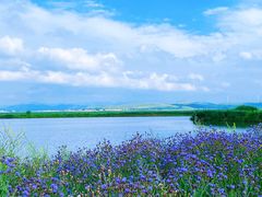 -坝上草原大汗行宫旅游景区