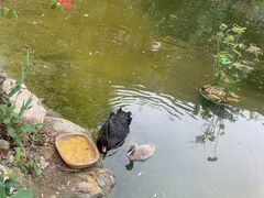 -青青世界