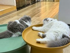 -拜鲁耶动物诊疗中心·宠家动物医院