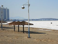 -长兴岛海滨公园