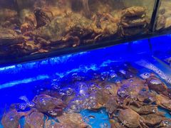 -SEA西雅图海鲜自助餐厅(海乐世界店)
