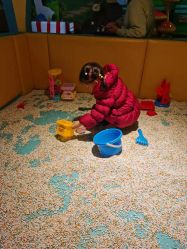 -酷嗒动物文化乐园(cutezoo西溪乐天城店)