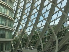 -凤凰中心