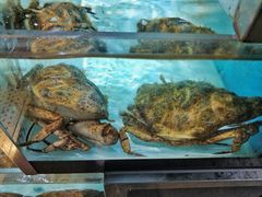 -盒马鲜生(枣园路店)