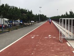 -日照海滨国家森林公园