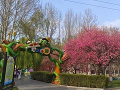 -石家庄市动物园