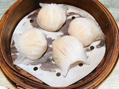 潮港虾饺皇-海联潮港城