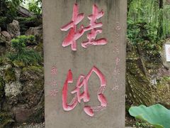 -桂湖森林公园